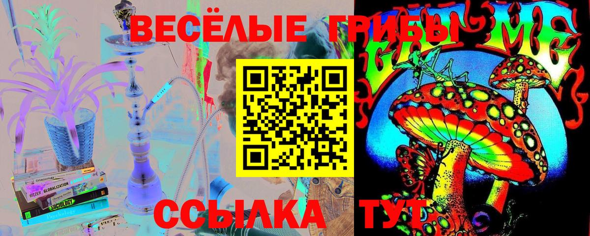 Балтийск  Галлюциногенные грибы GOLDEN TEACHER  Вход с VPN 